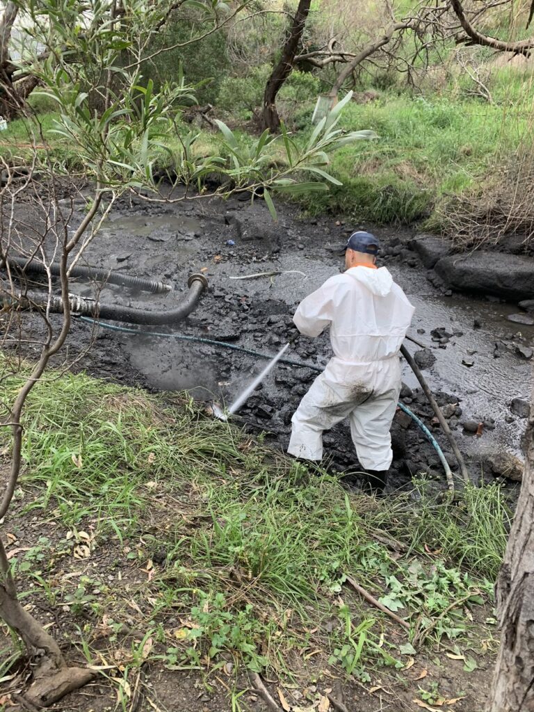 Environmental Consultant
