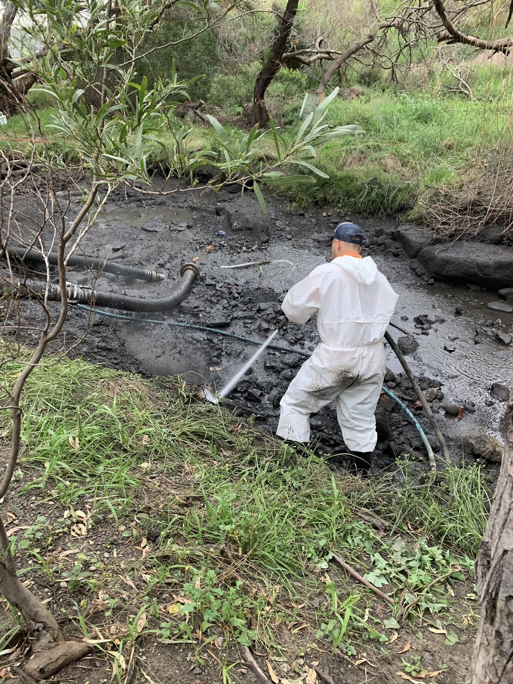 Environmental Consultant